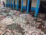 کراچی کا پہلا تجارتی بازار مچھی میانی مارکیٹ