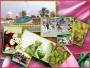 ساونی سرائیکی خطے میں ساون کی اجتماعی ثقافتی سرگرمی