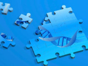 ’’تاریک ڈی این اے‘‘ نے زندگی کا معما مزید الجھا دیا