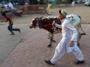 خواہشاتِ نفسانی کی قربانی