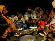 روہنگیا مسلمانوں پر مظالم