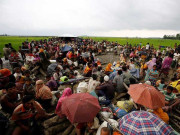 روہنگیا مسلمانوں کا تنازعہ اور مسلم ممالک کا کردار