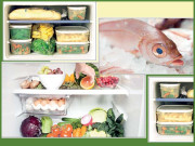 فریج فریزر میں اور عام درجۂ حرارت پر غذائی اشیاء کو محفوظ کرنے کے طریقے