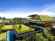 فطرت کی جانب لوٹ آئیے