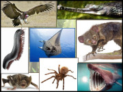 ارے ہم سے کیا ڈرنا