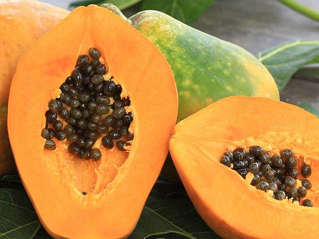 ضرورت سے زیادہ پپیتا کھانے کے نقصانات - ایکسپریس اردو