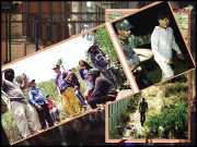 ’’ نائٹ واک‘‘ انوکھا تفریحی ٹور