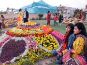 پھول دل و دماغ کو ترو تازہ و شاداب کرتے ہیں آصف یاسین 