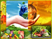 بنی نوع انسان کا مستقبل خطرے میں غذاؤں میں غذائیت کم ہونے لگی