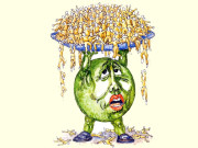 چین کی ایک بچہ پالیسی  