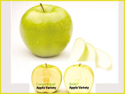 گلنے سڑنے سے محفوظ  ہمیشہ تازہ رہنے والا قطبی سیب