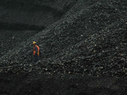 کراچی بندرگاہ کوئلے کیساتھ ڈسچارجنگ سے کینولا آئل سیڈ آلودہ ہونے کا خطرہ 