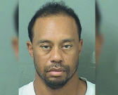 نشے میں ڈرائیونگ کرنے پر ٹائیگر ووڈ کو سزا سنادی گئی