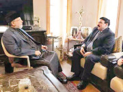 شہباز حدیبیہ ماڈل ٹاؤن کیس میں دھر لیے جائیں گے شیخ رشید