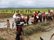 روہنگیا مسلمانوں کی واپسی کی شرائط