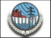 واپڈا نے ڈیم کے 2 ارب سرمایہ کاری پر لگا دیے سابق سیکریٹری کی پی اے سی طلبی