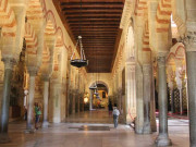 سرزمین اندلس میں قرطبہ اور غرناطہ کی سیاحت