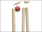 وکٹ بیٹ سے گرانے والے بیٹسمین پر جرمانہ