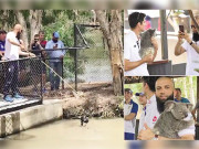 انگلش کرکٹرز کا دورۂ سفاری پارک مگرمچھ نے معین کا دل دہلا دیا