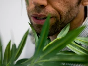 کیا اب پودوں سے بات چیت ممکن ہوگی؟