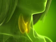 تھائرائیڈ سے متعلق عام دوا ہڈیوں کی کمزوری سے منسلک ہونے کا انکشاف