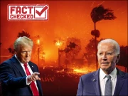 فیکٹ چیک: لاس اینجلس آگ متاثرین کی امداد کےلیے صرف 770 ڈالر؟ سچ کیا ہے؟