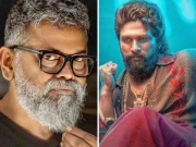 ’پشپا 2‘ کی ٹیم انکم ٹیکس کے نشانے پر، ڈائریکٹر کے گھر اور دفتر پر چھاپے