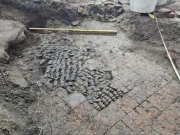 نیدرلینڈز: پرانی عمارت کے فرش سے درجنوں ہڈیاں برآمد