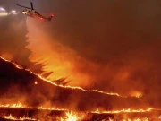 سال نو کا جشن؛ لاس اینجلس میں آگ کب اور کیسے لگی، حیران انکشافات 