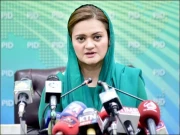 پنجاب بھر میں درجنوں بھٹے، صنعتی یونٹس مسمار کردیے گئے، سینئر صوبائی وزیر