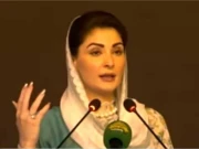 وزیراعلیٰ پنجاب ون ڈش کی خلاف ورزی کے واقعات پرشدید برہم