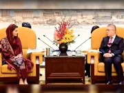 چینی کمپنیوں کو پنجاب میں سرمایہ کاری پر ترجیحاً سہولیات دی جائیں گی، مریم نواز