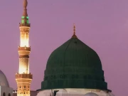 مسجد نبوی، زائرین کی آمد کا ڈیٹا جاری، کتنے پاکستانیوں نے روضہ رسولﷺ پر حاضری دی؟