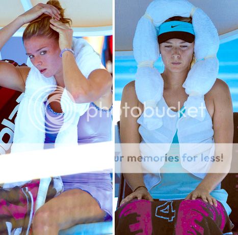  photo Pic1_zps2e222dbf.jpg