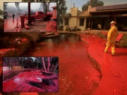 خوفناک آگ سے متاثرہ لاس اینجلس میں گلابی رنگ نے ہر چیز کو کیوں ڈھانپ رکھا ہے؟ 