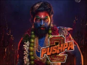 مفرور گینگسٹر کو ’’پشپا 2‘‘ کا شوق لے ڈوبا