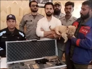 رجب بٹ نے جنگلی حیات پر آگاہی کا ویلاگ جاری کردیا