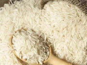 یورپی یونین کے اعتراض دور کرنے کیلیے نئی اتھارٹی قائم کرنیکا فیصلہ