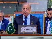 پاکستان دنیا کی سب سے بڑی فری لانسر کی کمیونٹیز میں سے ایک ہے، وزیراعظم