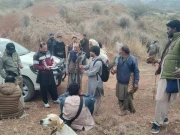 تیتر کے غیرقانونی شکار پر 35 شکاریوں کو ساڑھے پانچ لاکھ روپے جرمانہ