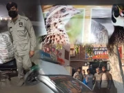 پنجاب میں جنگلی پرندوں کا گوشت فروخت کرنیوالے ریسٹورنٹس کے خلاف کارروائی اور انسپکشن کا آغاز