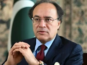 وزیرخزانہ نے مارکیٹیوں میں قیمتیں کم نہ ہونے کا ملبہ مڈل مین پر ڈال دیا