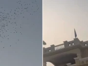 شادی میں دولہا کے گھر والوں نے دلہن کے گھر پر ہوائی جہاز سے نوٹوں کی بارش کردی، ویڈیو وائرل