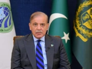 وزیراعظم نے کل ایس آئی ایف سی کی ایپکس کمیٹی کا اجلاس طلب کر لیا