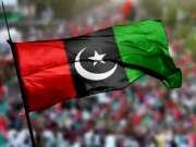 پیپلز پارٹی کراچی ڈویژن کا آئینی ترمیم کی منظوری پر 28 اکتوبر کو جشن منانے کا فیصلہ