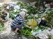 پاکستان میں ہر سال انیس ملین ٹن خوراک ضائع ہوتی ہے، ماہرین