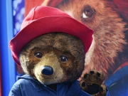 برطانیہ نے ’ریچھ‘ کے لیے پاسپورٹ جاری کر دیا