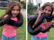 اژدھے کے ساتھ کھیلنے والی بچی سوشل میڈیا پر وائرل