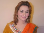 اداکارہ نرگس نے ساتھی فنکارہ کے خلاف ایف آئی اے سے رجوع کرلیا