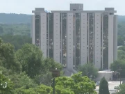 جارجیا سال نو کا جشن کسطرح منائے گا؟ حیرت انگیز منصوبہ سامنے آگیا 